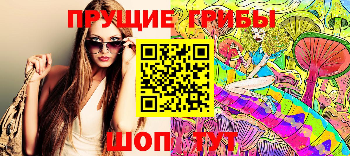 Галлюциногенные грибы Cubensis Карпинск
